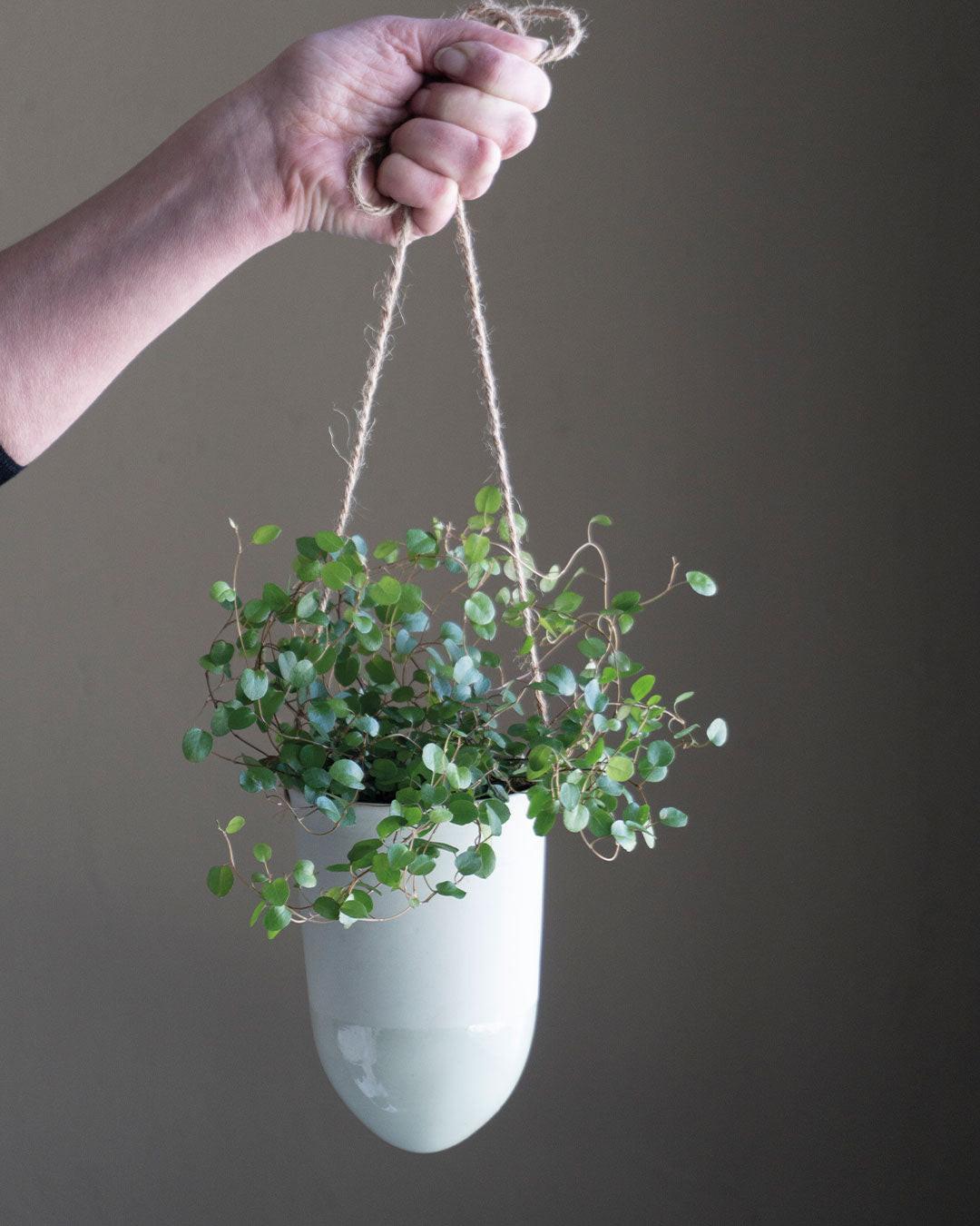 hanging planter nz Porcelain Hanging Planter