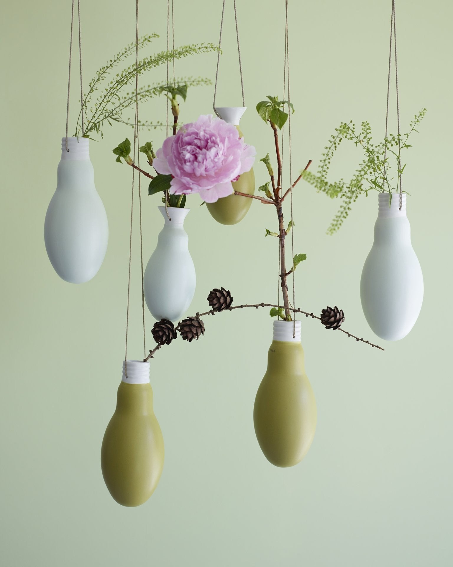 Pots & vases suspendus.