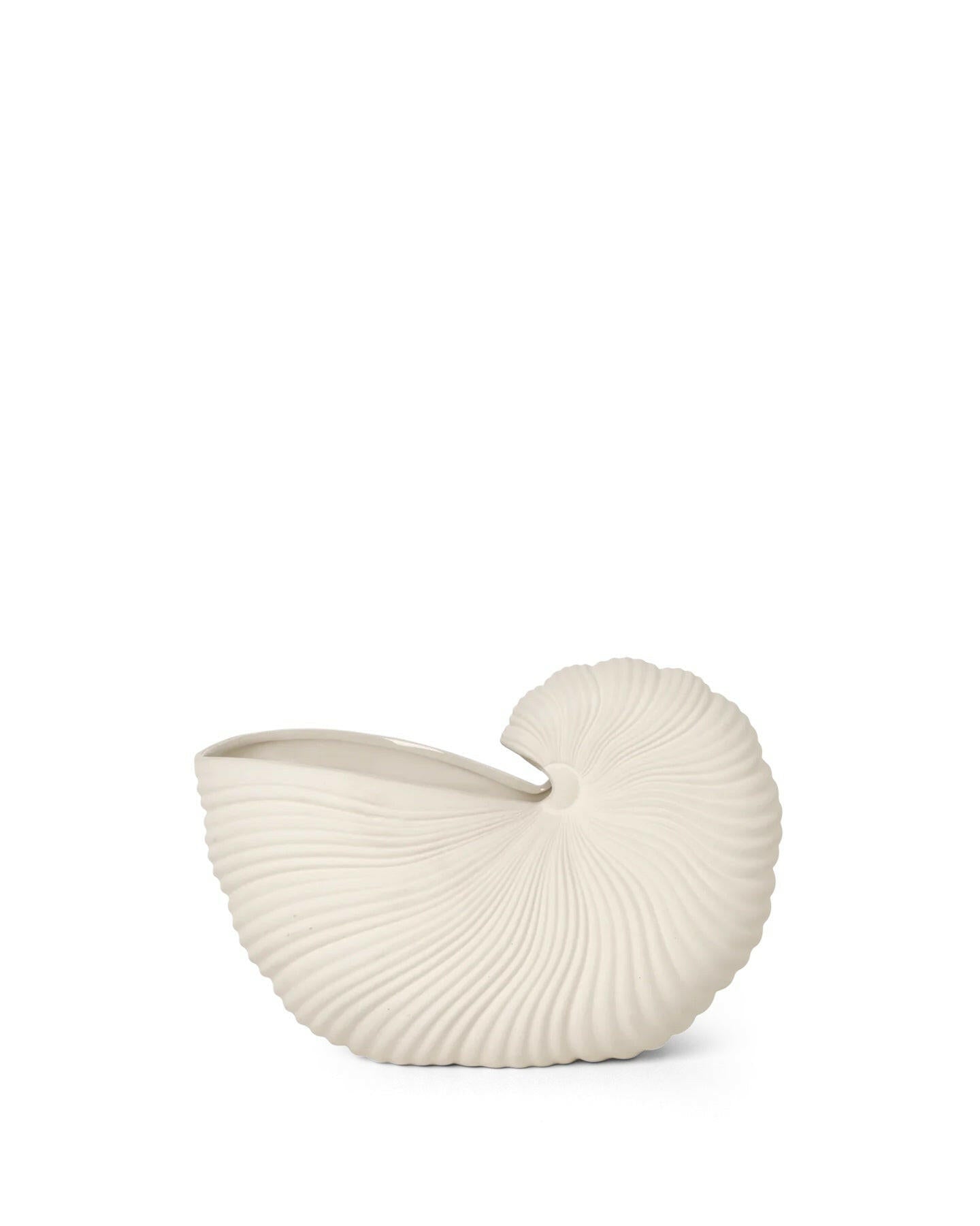 Vase - Shell