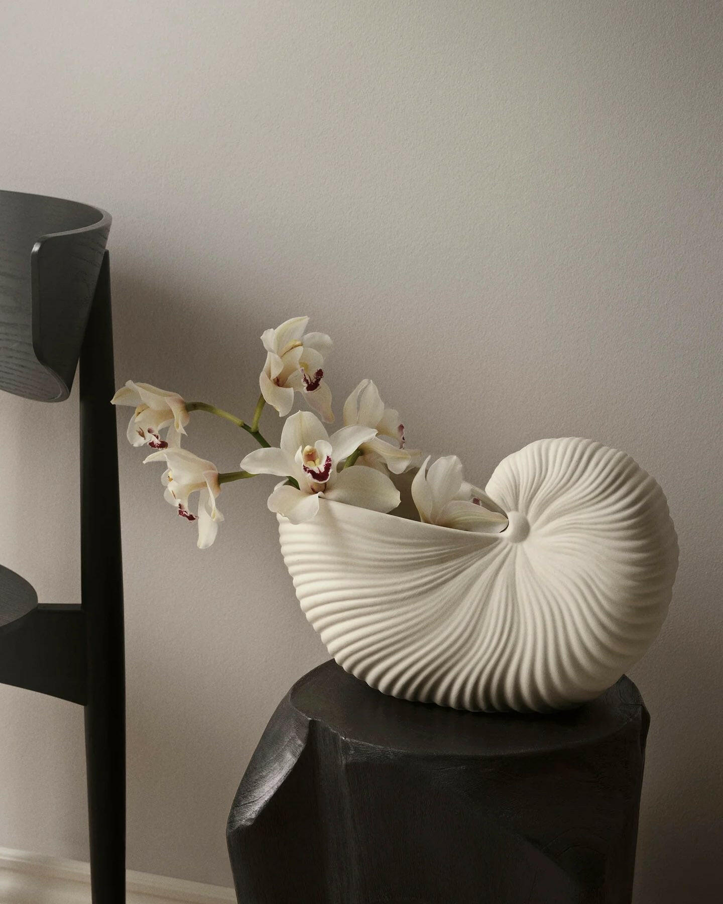 Vase - Shell