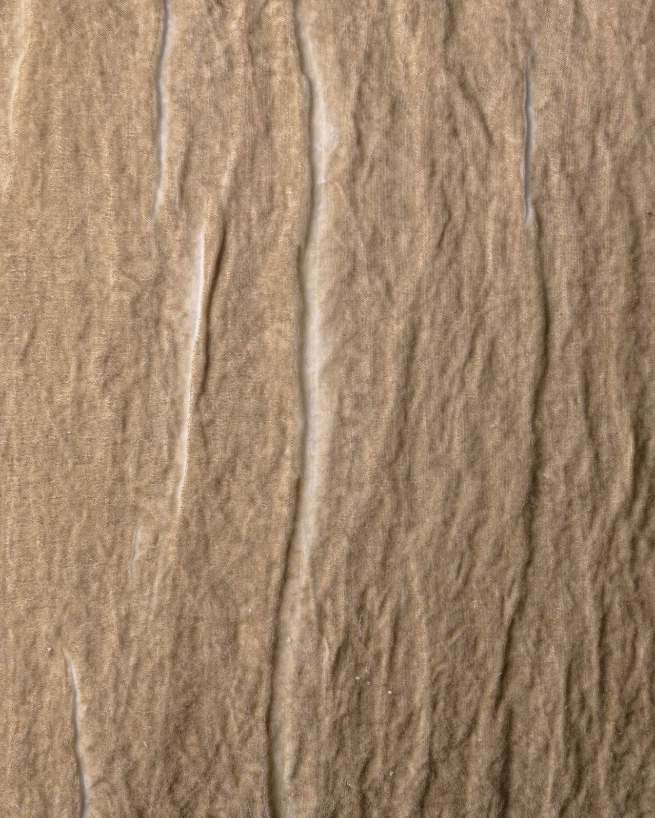 Coussin Amycla The House Of Lyria