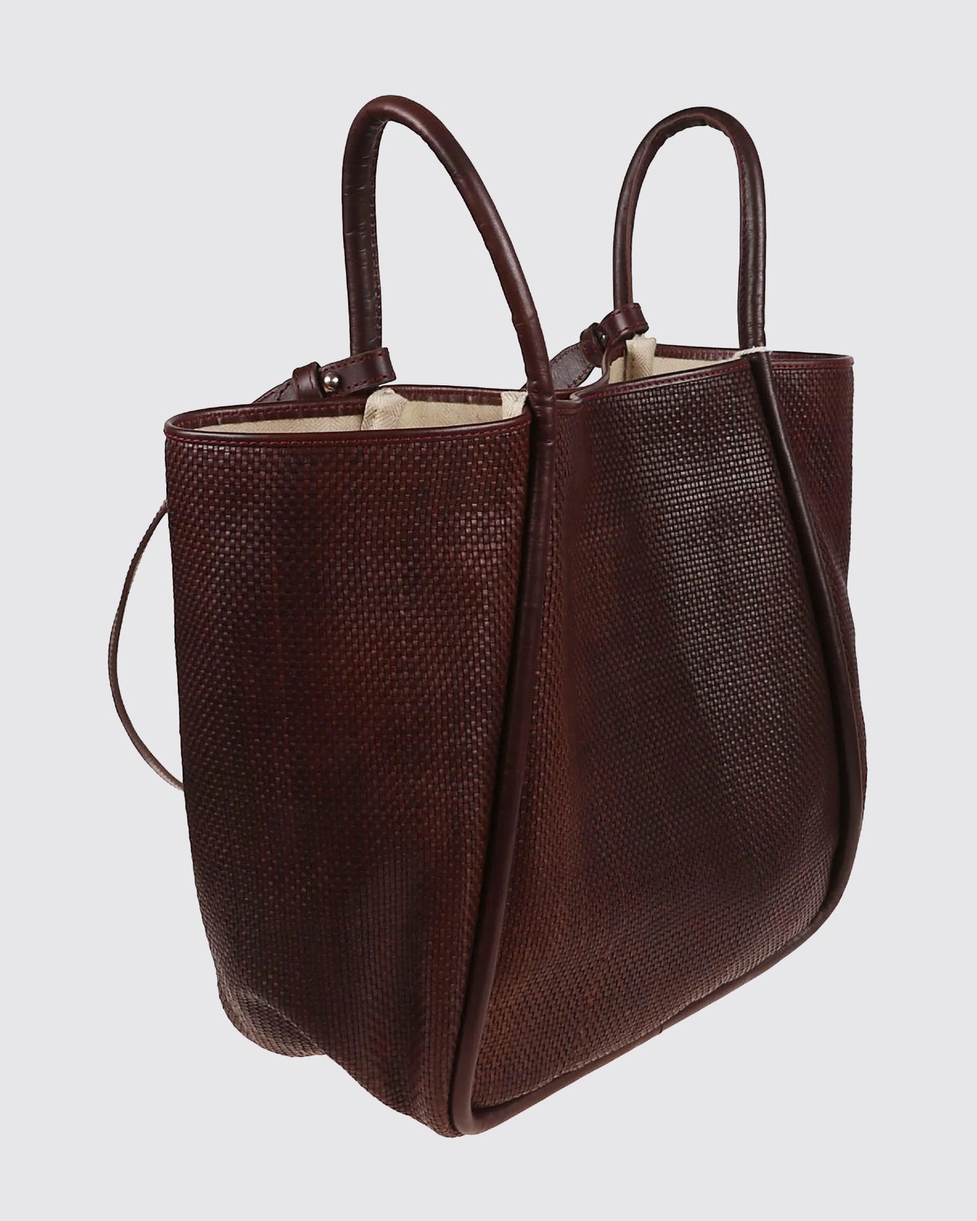 Bag Dragon Diffusion