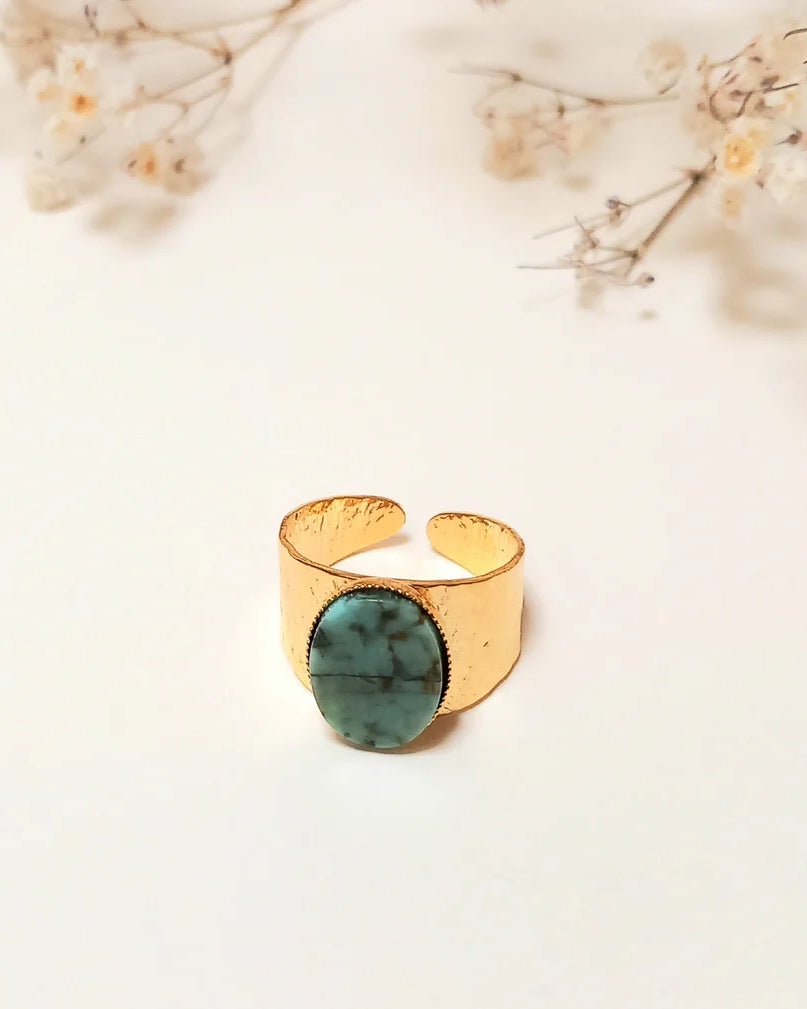 Bague Paula S, Fabien Ajzenberg