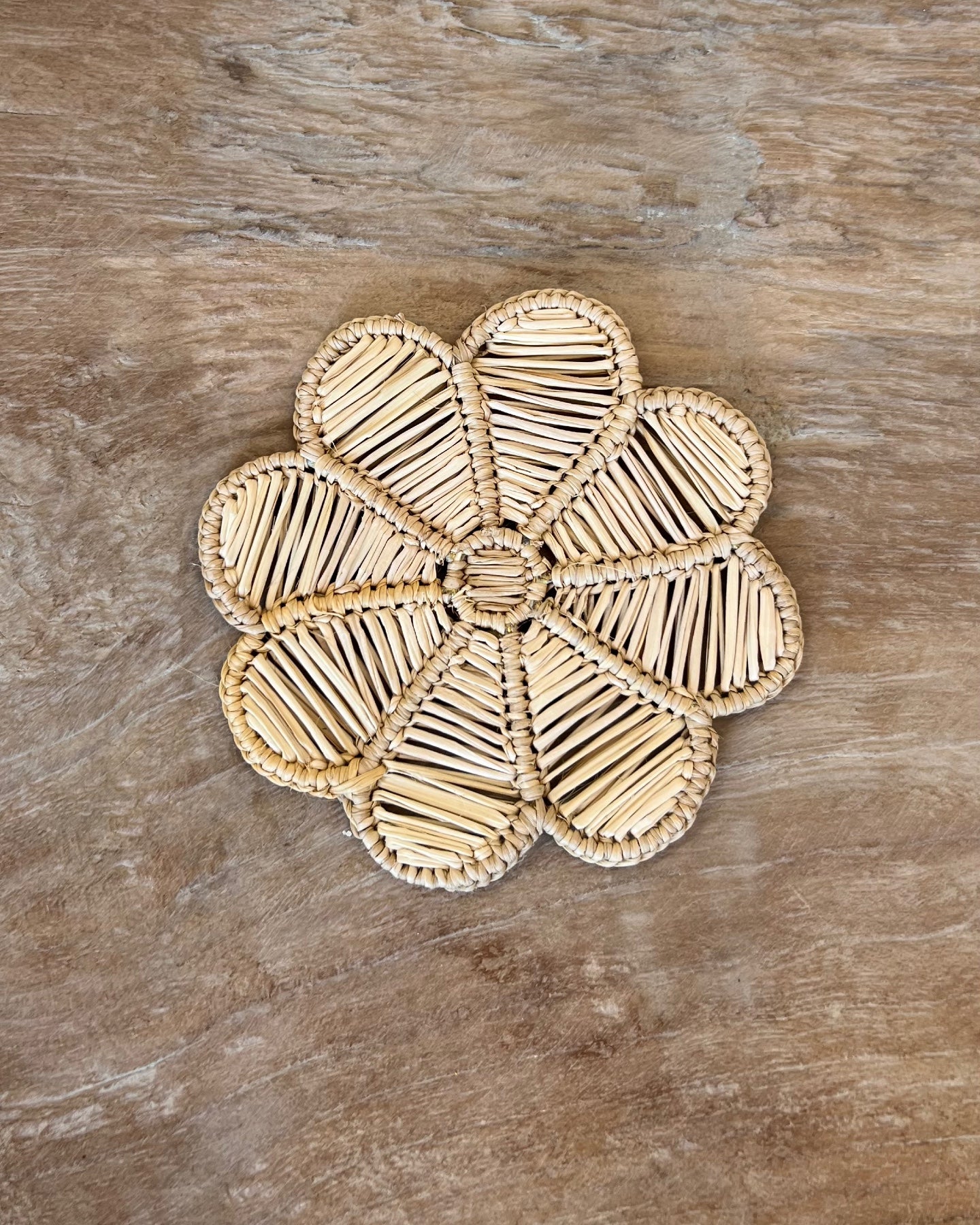 Daisy Coaster, Natural