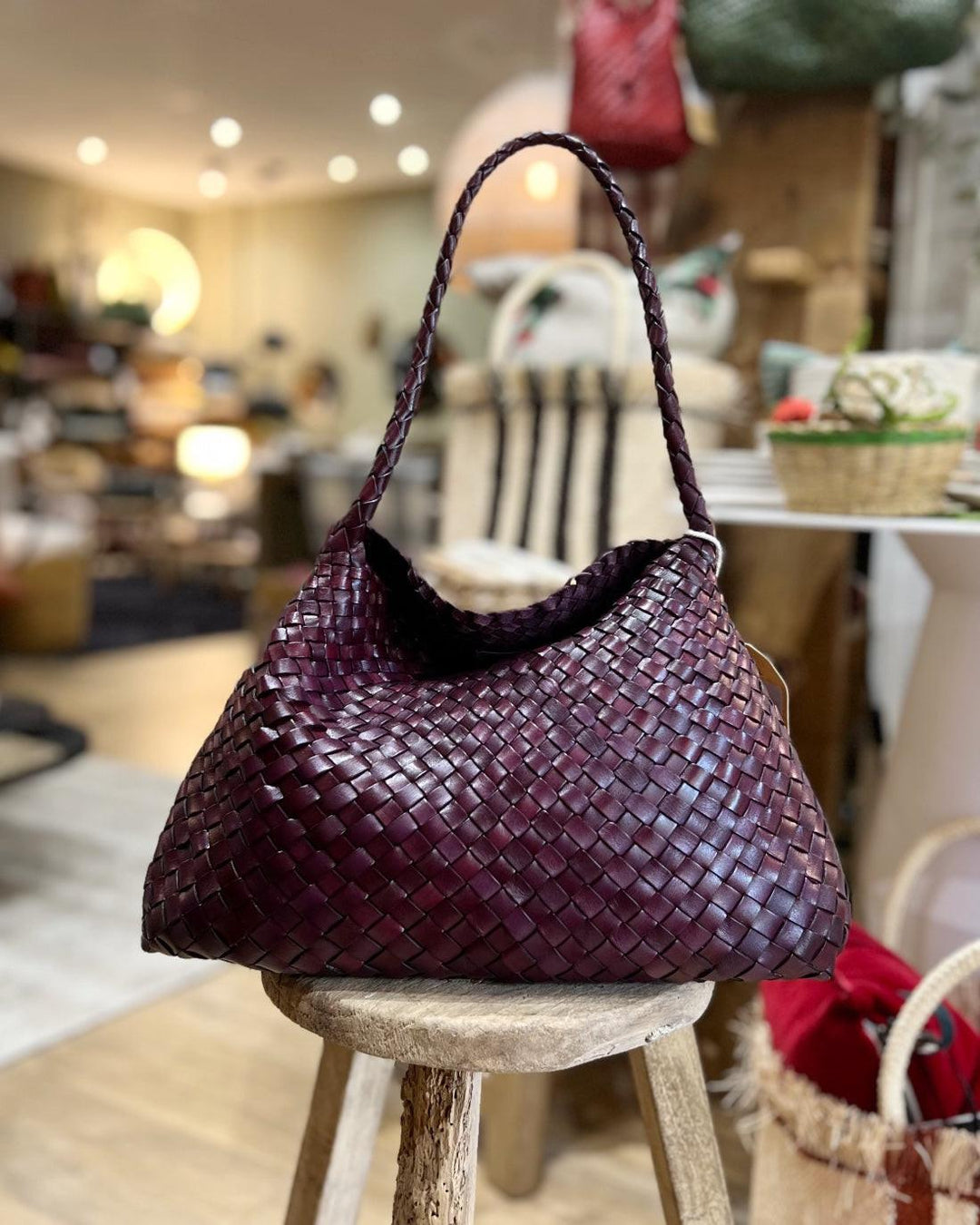 Santa Maria Plum, Dragon Diffusion