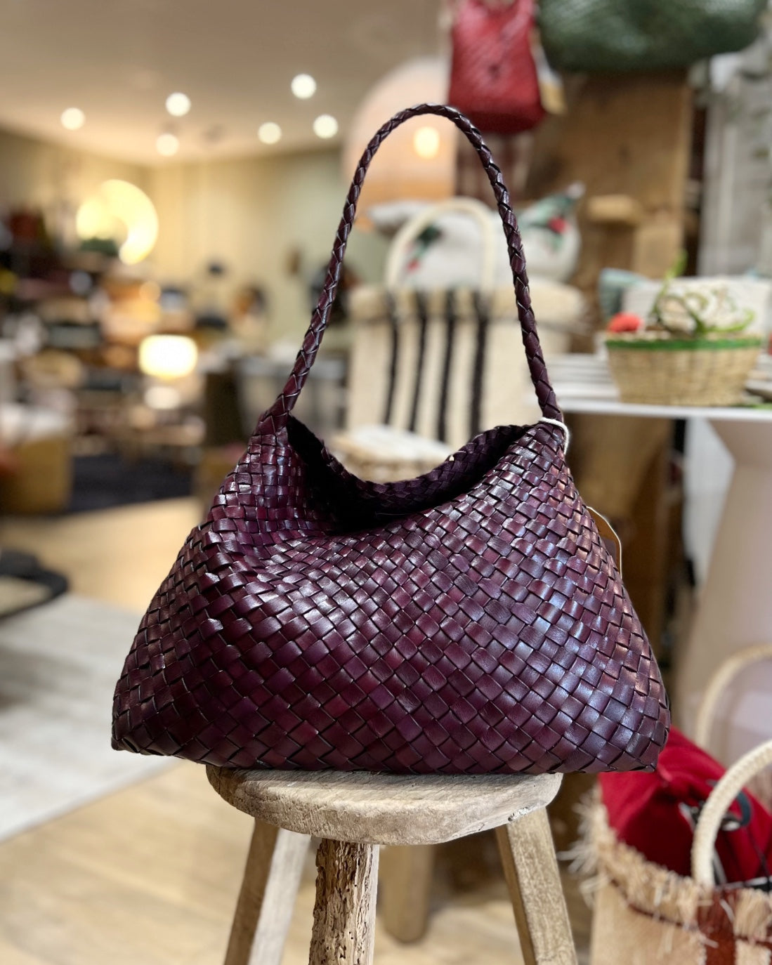 Santa Maria Plum, Dragon Diffusion