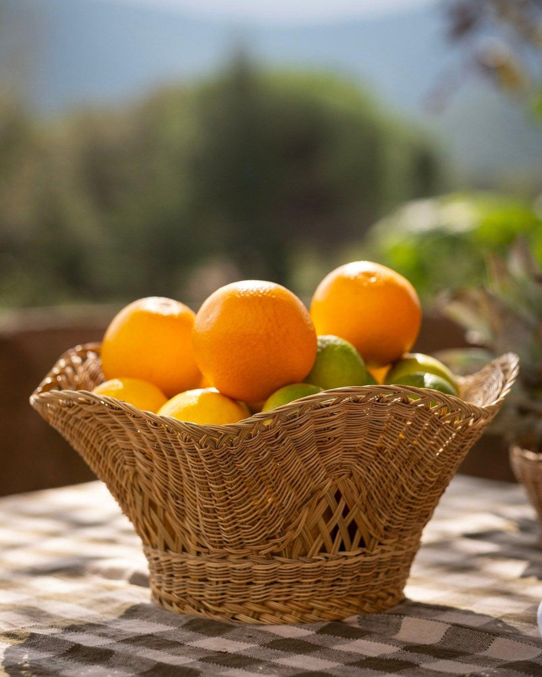 Grand panier Rural Naturel PAO Maison fibre