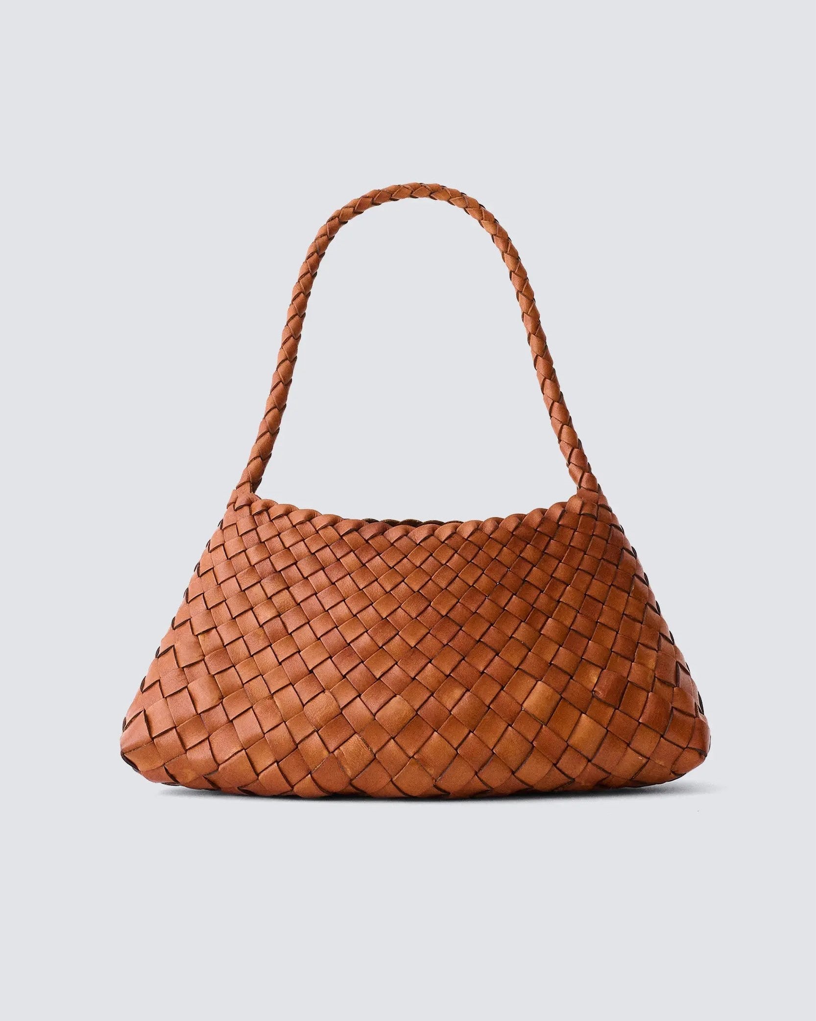 Sac Rosanna Tan, Dragon Diffusion