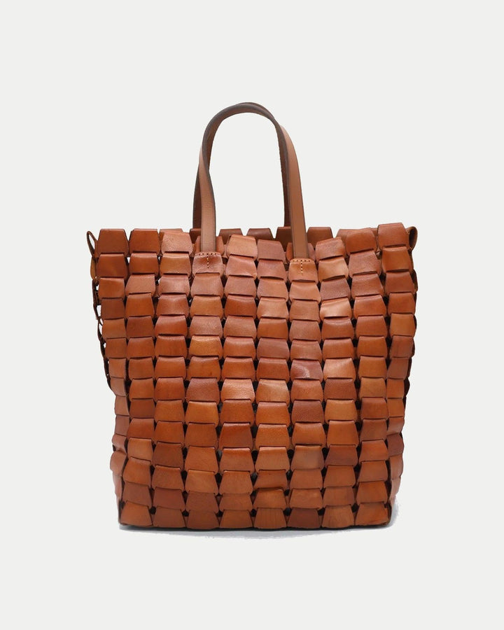 Link Tote Tan, Dragon Diffusion