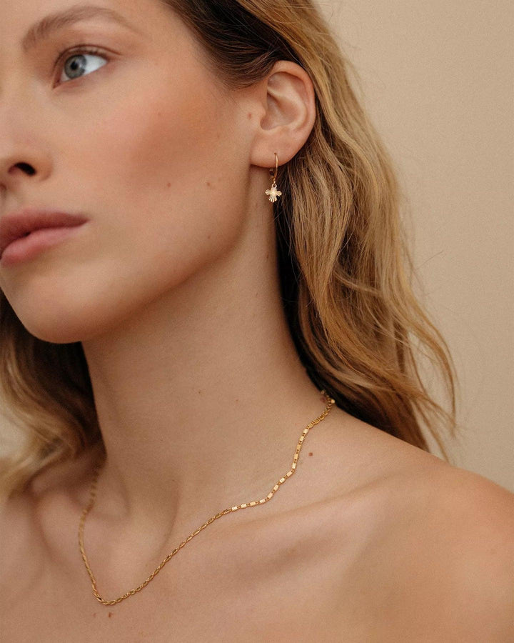 Collier Augustine, Louise Damas