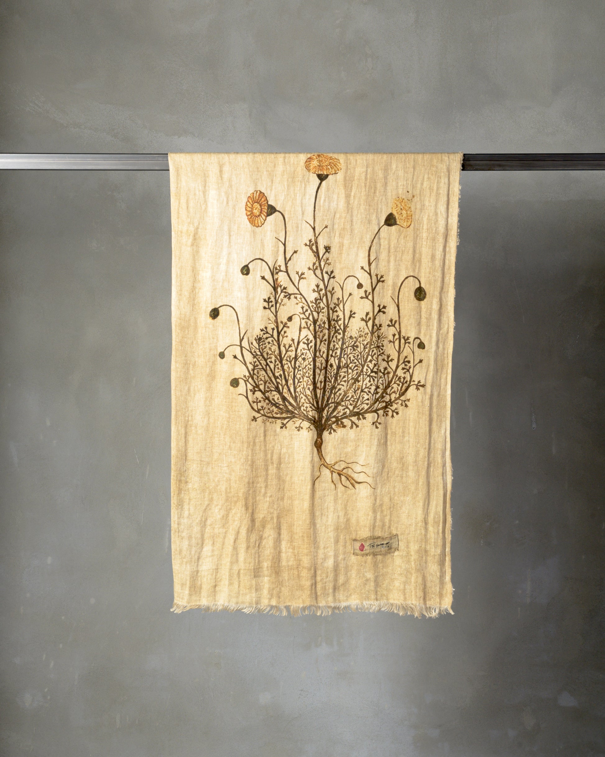 Plaid/Nappe Firmamento, The House Of Lyria