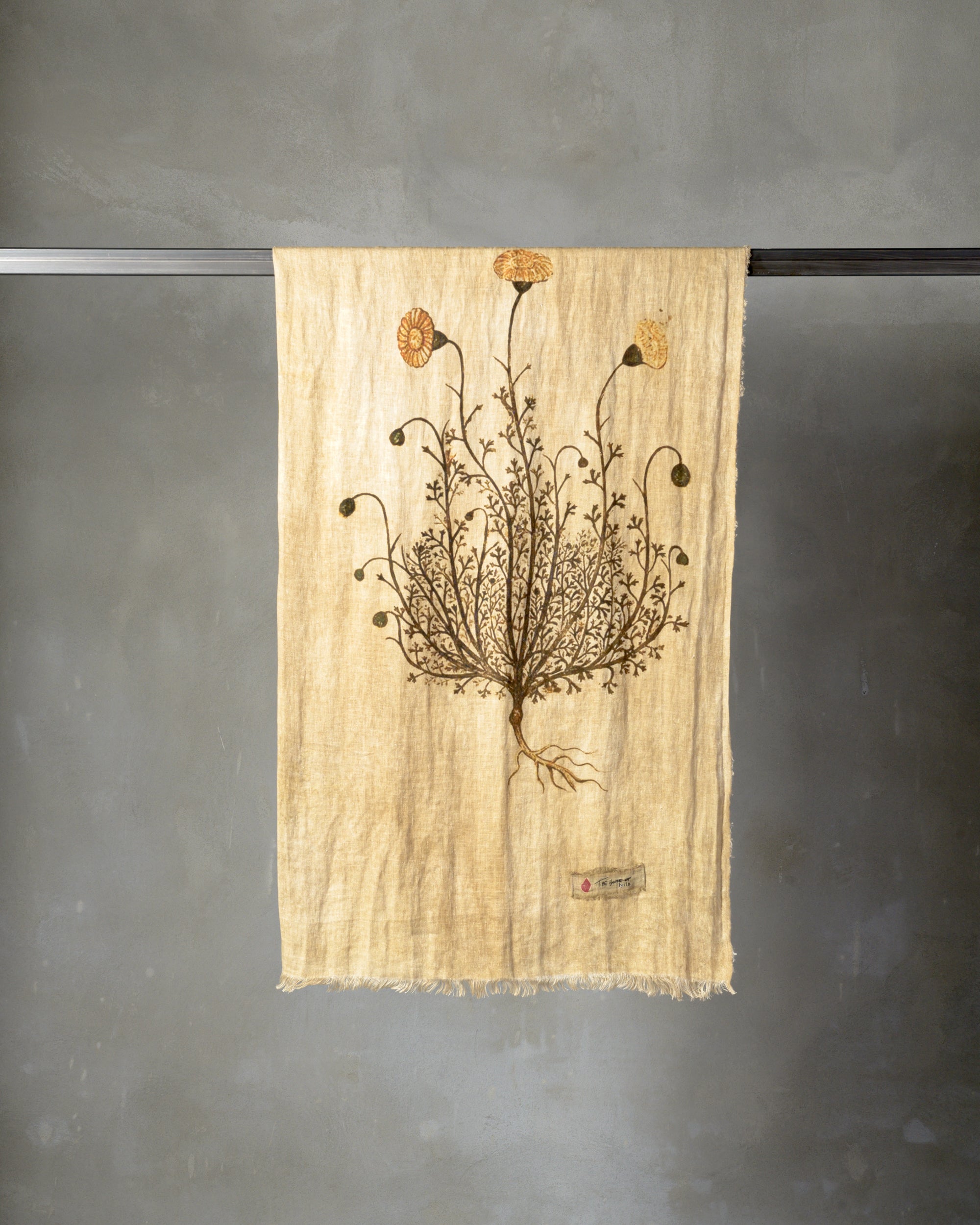 Plaid/Nappe Firmamento, The House Of Lyria