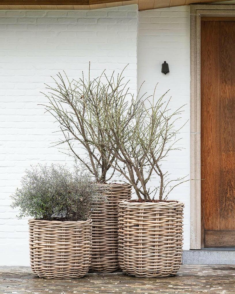 Planter Basket Julia, Large