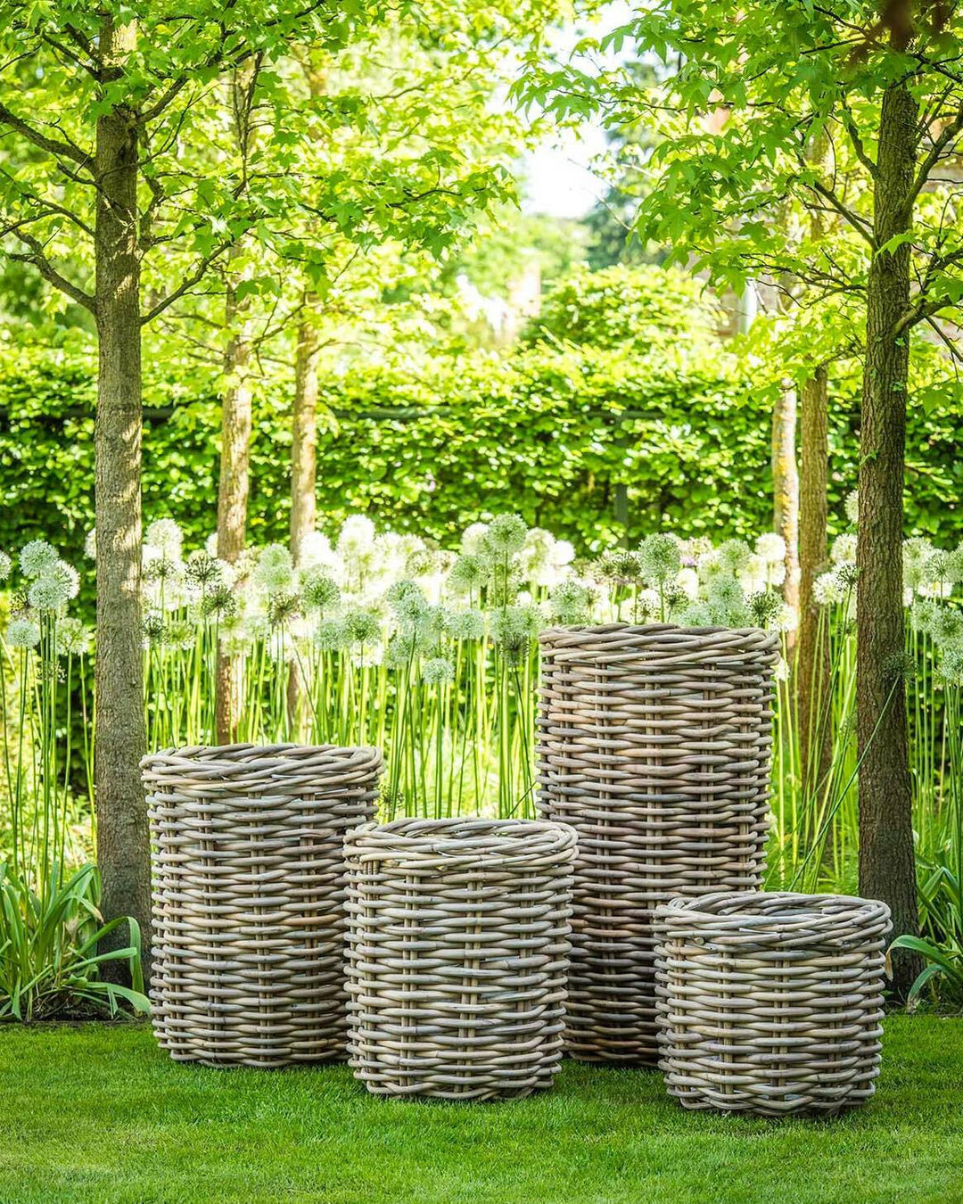 small woven plant basket Planter Basket Julia, Small