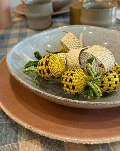 Ronds de Serviette Ananas, Pao Artesania