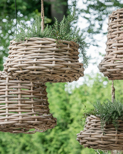 Hanging Basket Luca Gommaire