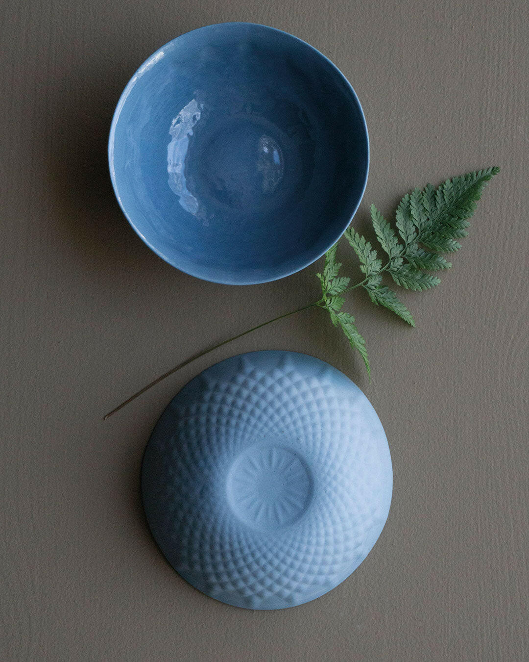 Sucrier - -MENT-Halo Concept