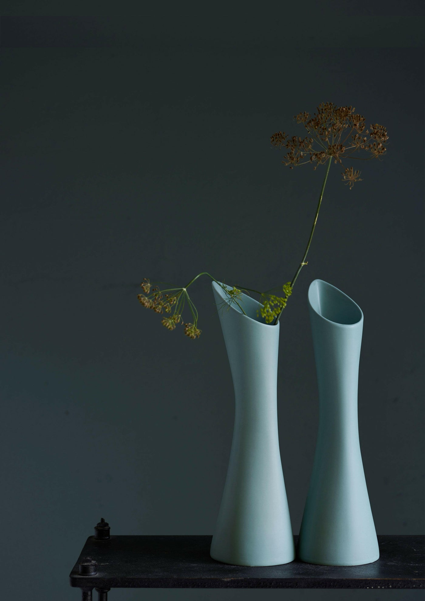 Vase Stolt - -MENT-Halo Concept