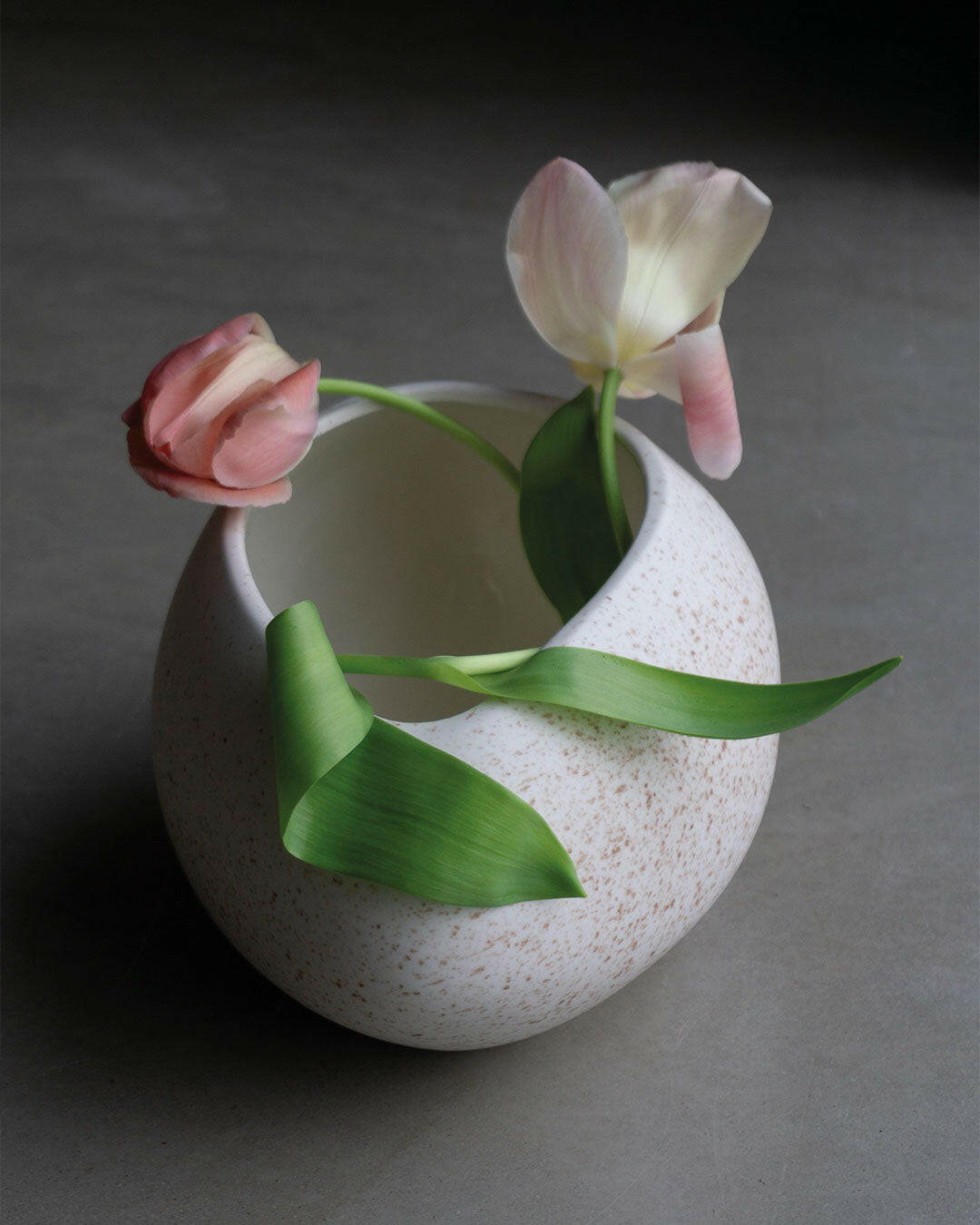 Vase œuf Krum - -MENT-Halo Concept