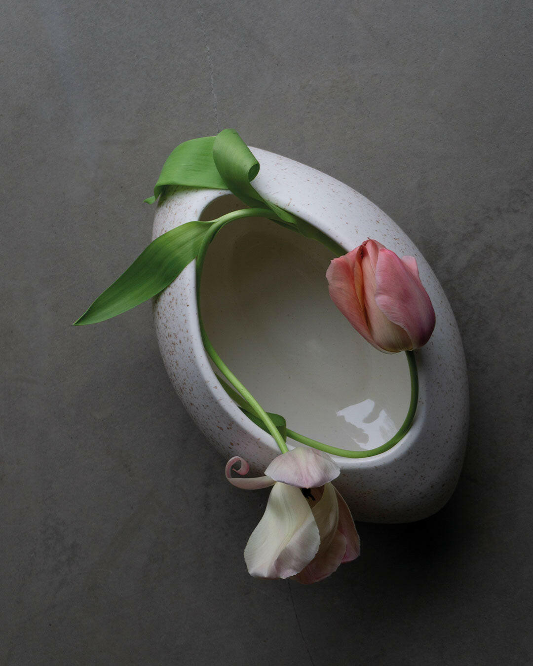 Vase œuf Krum - -MENT-Halo Concept