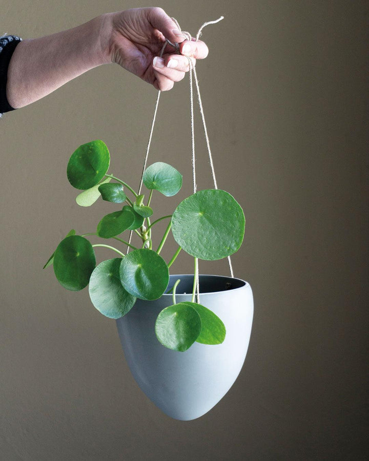 Pot de fleur suspendu céramique, bleuet - -MENT-Halo Concept