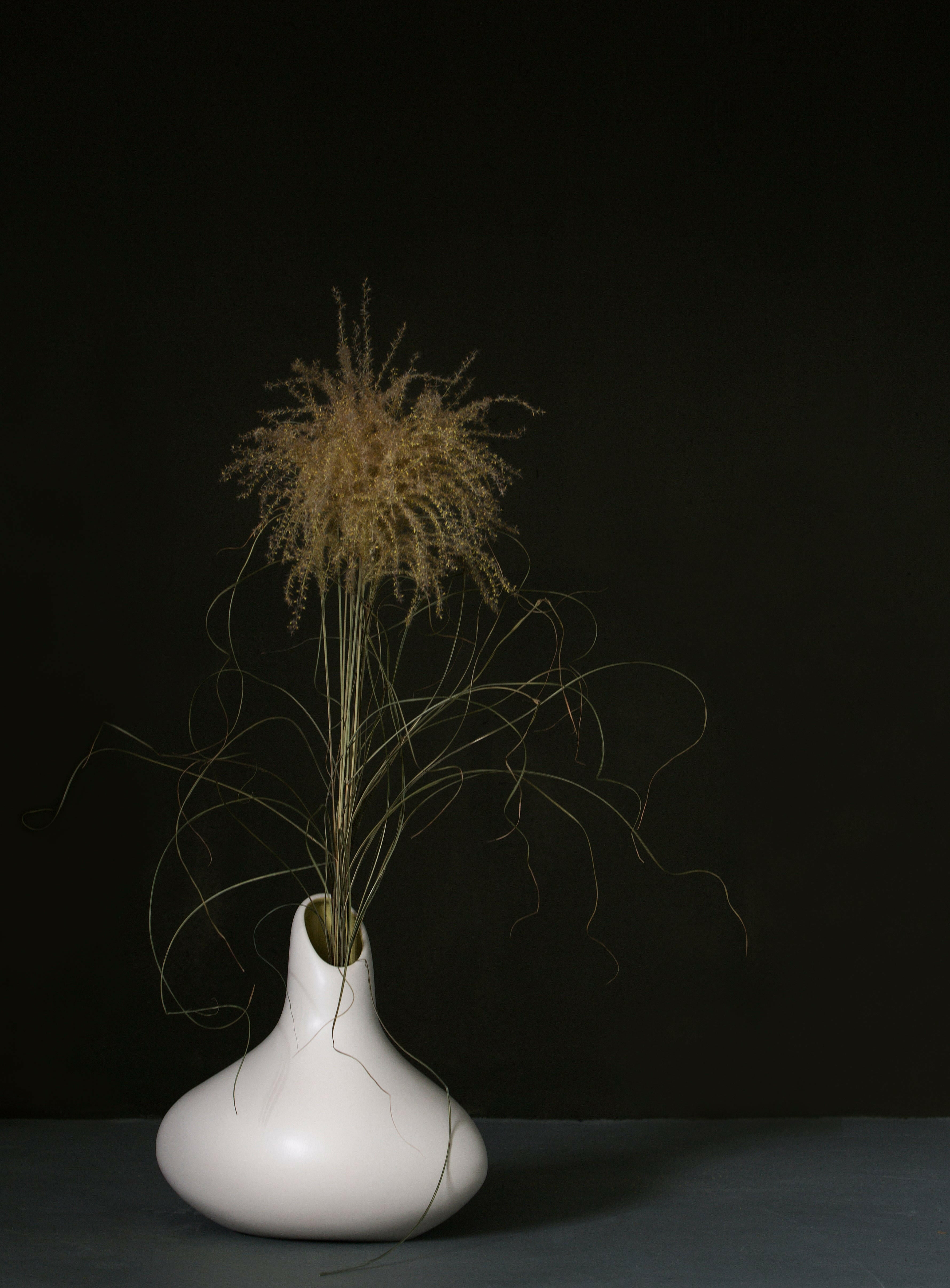 Vase sol Krum - -MENT-Halo Concept