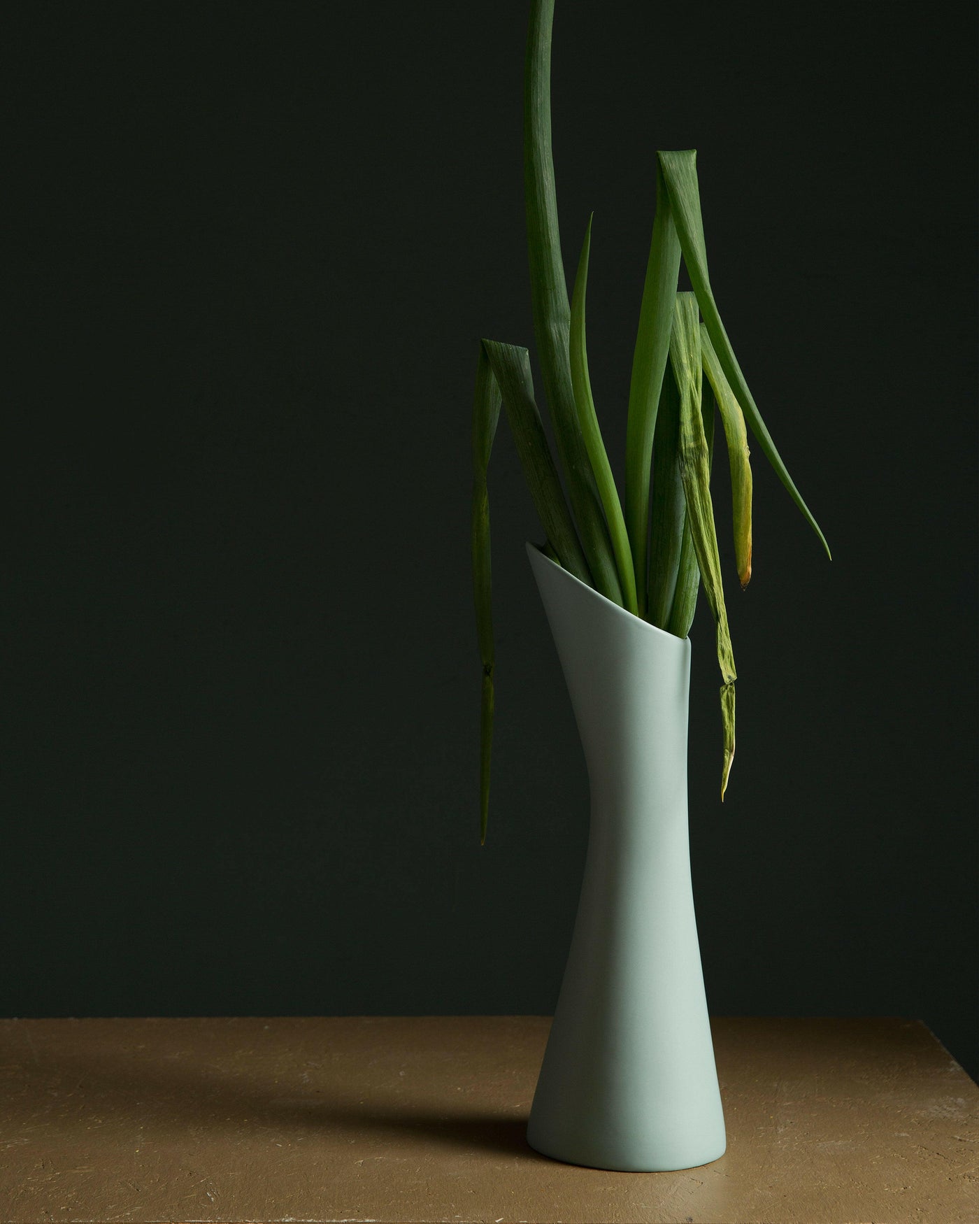 Vase Stolt - -MENT-Halo Concept