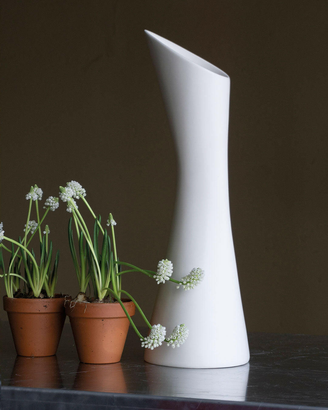 Vase Stolt - -MENT-Halo Concept