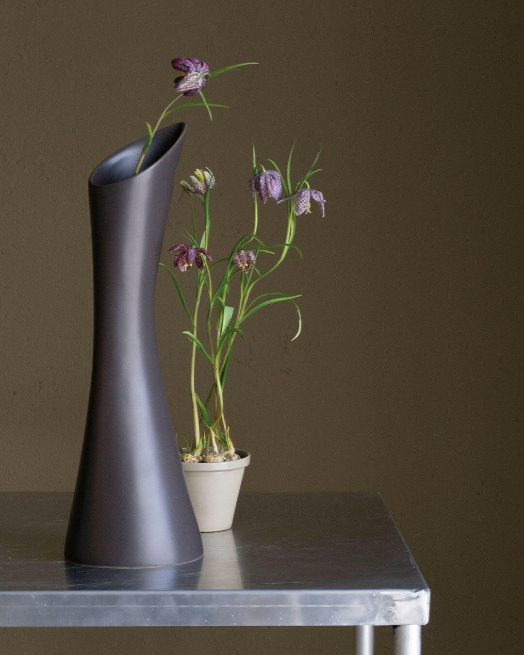 Vase Stolt - -MENT-Halo Concept